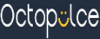 Octopulce-flux-e-commerce-beezup